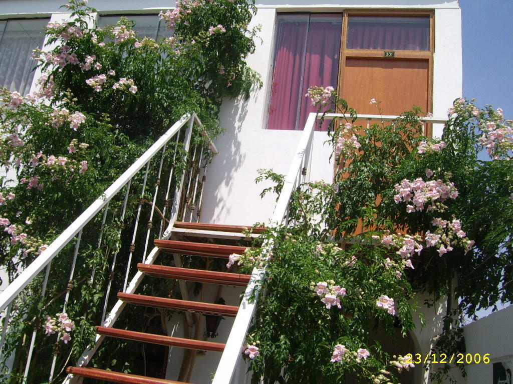 Hostal Camiluz Nazca Ngoại thất bức ảnh