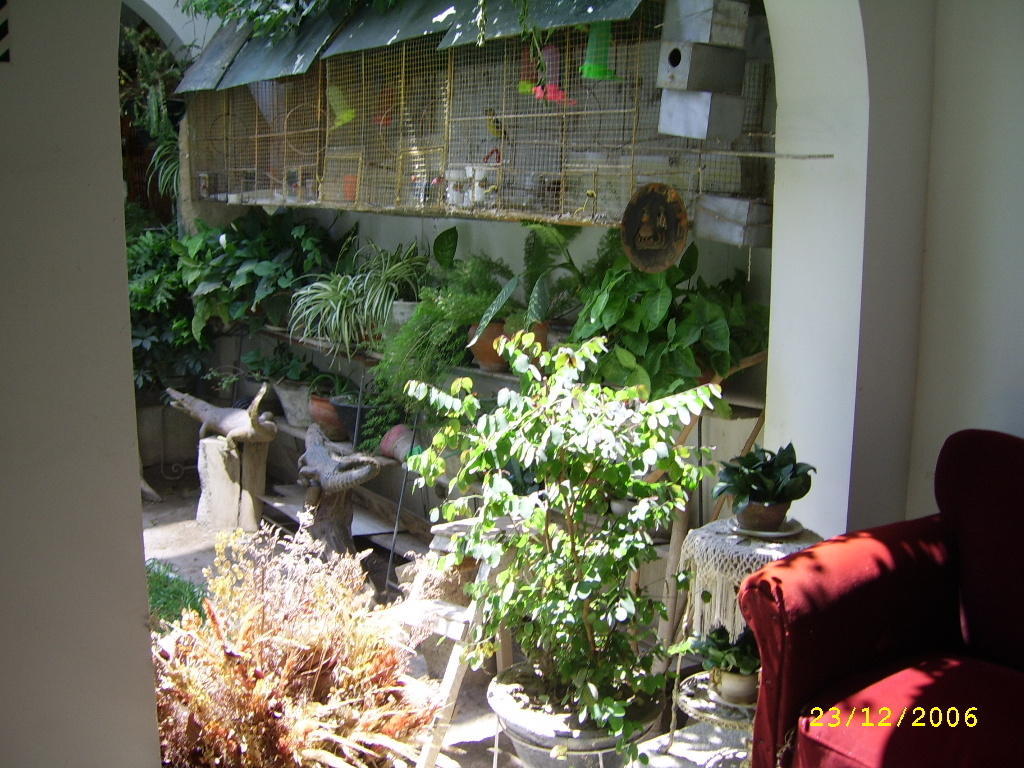 Hostal Camiluz Nazca Ngoại thất bức ảnh