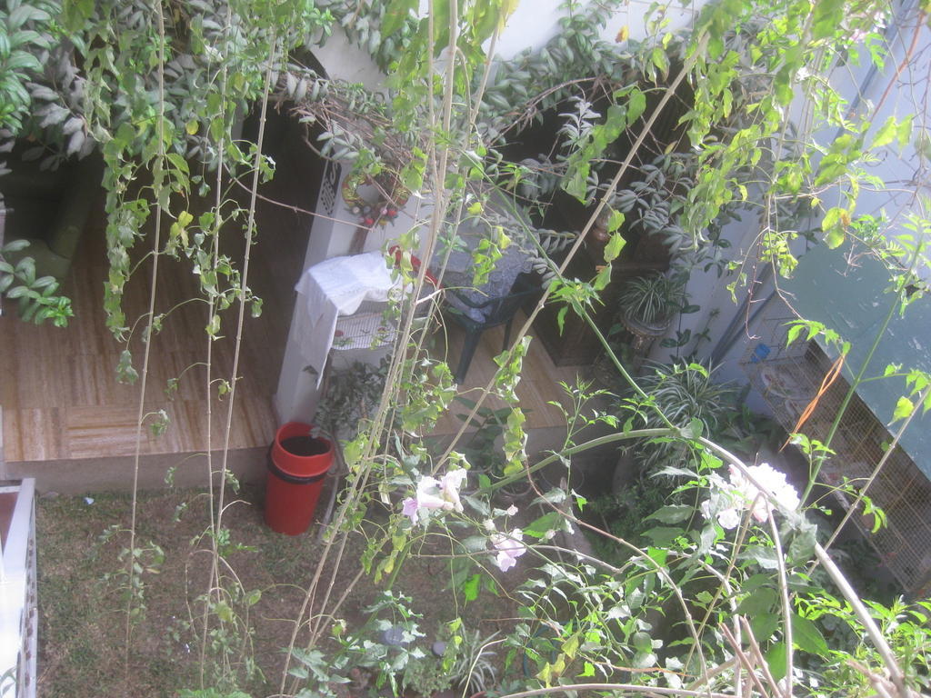 Hostal Camiluz Nazca Ngoại thất bức ảnh